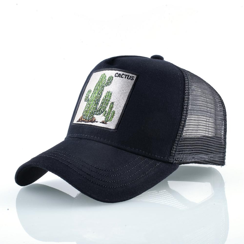 Black Cactus